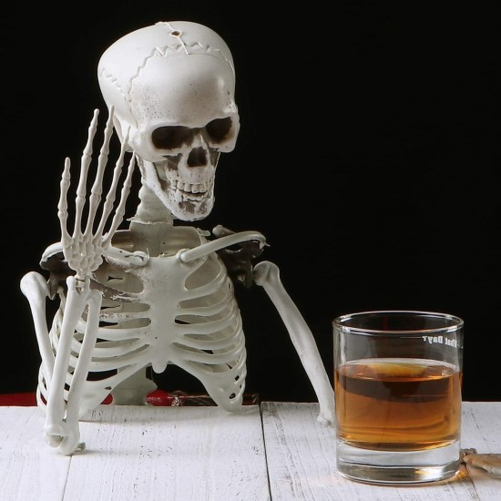35 Posable Halloween Skeleton Full Body Joints Plastic