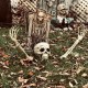 Realistic Skeleton Stakes Halloween Decorations for Lawn Stakes Garden Halloween Skeleton Decoration