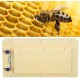 Wire Embedder, Beekeeping Wire Embedder, Automatic Comb Beeswax Beekeeping Accessory for(110V, U.S. standard)