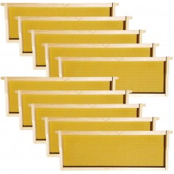 Hoover Hives - Medium Frames & Foundations (100 Pack) - Langstroth Beehive Wooden Frames, Natural Honey Colored Food Grade Plastic Foundations Dipped in Natural Beeswax