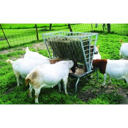 Little Giant Sheep and Goat Feeder Basic Goat and Sheep Feeder and Hay Rack (Item No. 168779)