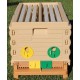 Apimaye Insulated 7 Frame Langstroth Nucleus Bee Hive Nuc Queen Castle