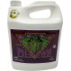 Advanced Nutrients 3800-15 pH, 4 Liter