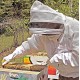 Pro Level Triple Layer White Ventilated Beekeeping Jacket with Easy Open Veil, Removable Fencing Hood and Sting Proof Breathable Cool Mesh for Beekeeper Comfort (Large)