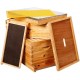 10-Frames Complete Beehive Kit, Wax Coated Bee Hive Includes Frames and Beeswax Coated Foundation Sheet (2 Layer)