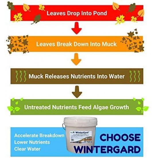 Natural Waterscapes WinterGard Cold Water Bacteria for Ponds | 10 lb Winter Pond Treatment