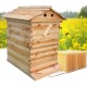 King Showden 7Pcs Auto Beehive Frame Comb, Auto Honey Hive Beehive Frames + Beekeeping Wooden House Beehive Boxes, for Beekeepers