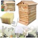 King Showden 7Pcs Auto Beehive Frame Comb, Auto Honey Hive Beehive Frames + Beekeeping Wooden House Beehive Boxes, for Beekeepers