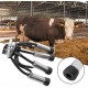 TOPINCN Milking Cluster, 240CC Stainless Steel Rubber Milking Cluster Milk Cup Milking Teat Cups Milking Claw Milking Machine Supplies Remplacement