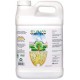 SLF 100 Pure Enzyme Solution Gallon