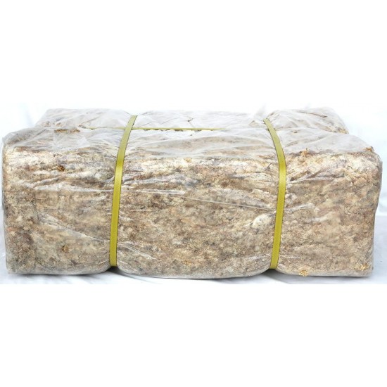 BestValueMoss Sphagnum Moss Substrate Dried, 100% Natural/Organic, 22 Lbs Big Bale (10 kg, 10000 Grams)