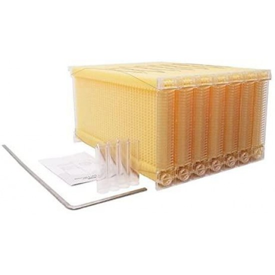 EzBee Ultra Simple Beehive Auto Flow Comb Set