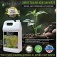 Planet Earth Natural Organic Based Compost Tea. The Ultimate Organic Fertilizer - Triple Filtered Liquid hydroponic Nutrient (5 Gallon)