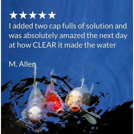 API Pond Simply Clear Bacterial Clarifier, Clears Cloudy Water and consumes Sludge Quickly, Use Every Two Weeks in Freshwater Ponds for Best Results