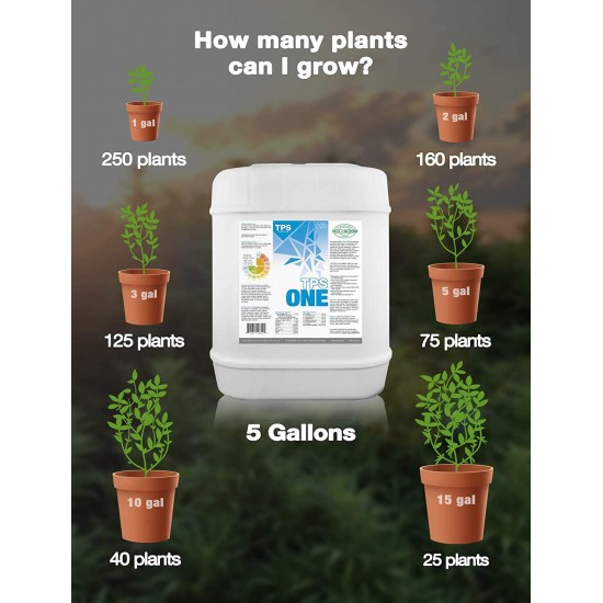 TPS-One Liquid One Part Nutrient from Veg to Bloom by TPS Nutrients, 5 Gallon (640 oz)