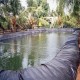 INTBUYING 20 ft 30 ft Pond Liner Products HDPE Black for Koi Ponds, Streams Fountains and Water Gardens