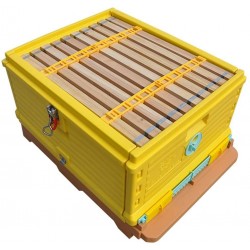 LANGLANG Plastic Insulated bee hive Box kit langtroth Size fit for 10 Full Frame Beekeeping Supplies Without Frame (Yellow)