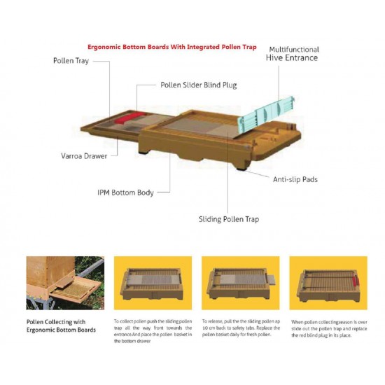 Plastic Insulated Bee Hive Set 2 Layer Langstroth Size Thermo Beehive Box bee House [No Frames Included]