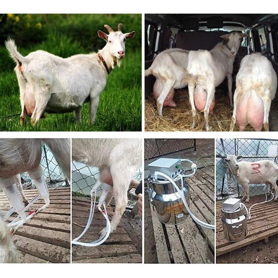 QHWJ Electric Goats Sheep Cows Milker Machine Pulsation Vacuum Small Family Farm Milking Kit with 5L Stainless Steel Milk Barrel,for Goat