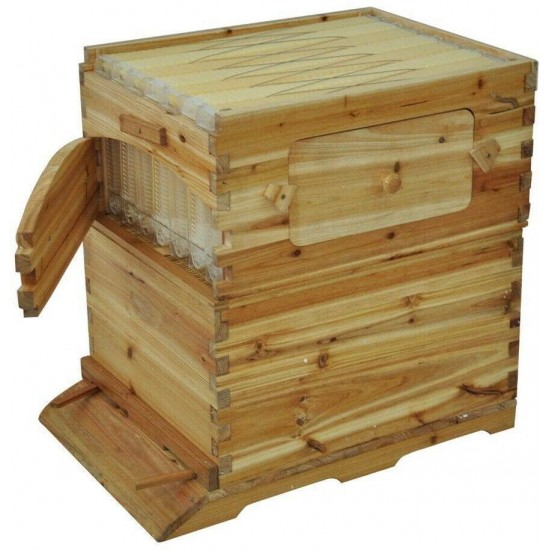 SHIJING US 7pcs Auto Honey Hive Beehive Frames + Beekeeping Brood Cedarwood Box New