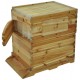 SHIJING US 7pcs Auto Honey Hive Beehive Frames + Beekeeping Brood Cedarwood Box New