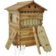 SHIJING US 7pcs Auto Honey Hive Beehive Frames + Beekeeping Brood Cedarwood Box New