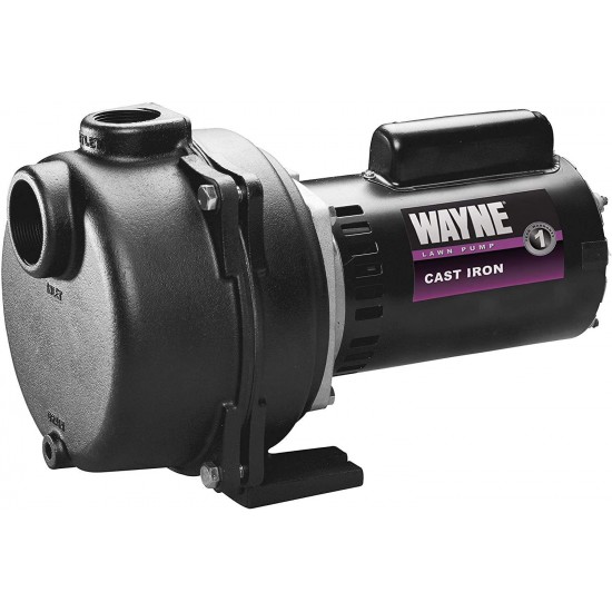 Wayne WLS150 1.5 HP High Volume Cast Iron Lawn Sprinkling Pump, 1-1/2-Horsepower