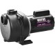 Wayne WLS150 1.5 HP High Volume Cast Iron Lawn Sprinkling Pump, 1-1/2-Horsepower