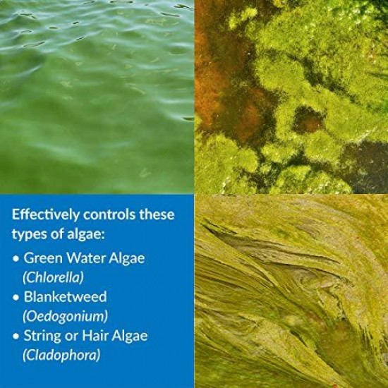 API POND ALGAEFIX Algae control, Effectively controls Green water algae, String or Hair algae and Blanketweed, Use as directed when algae blooms and as regular care