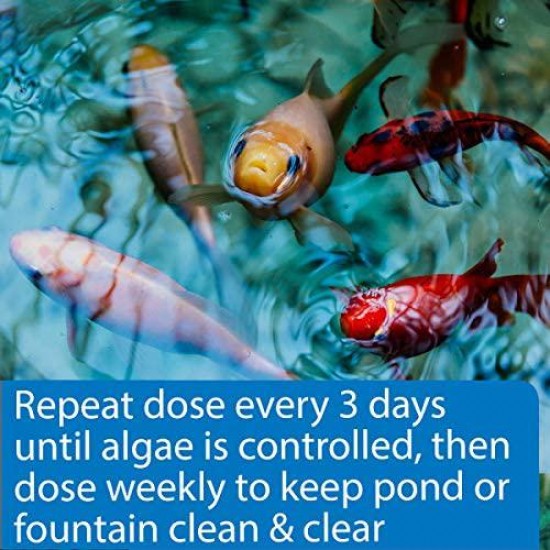 API POND ALGAEFIX Algae control, Effectively controls Green water algae, String or Hair algae and Blanketweed, Use as directed when algae blooms and as regular care