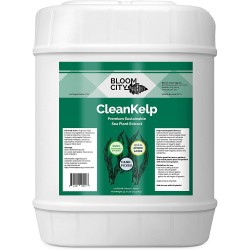 Organic Liquid Seaweed and Kelp Fertilizer Supplement by Bloom City, 5 Gallon (640 oz) Concentrated Makes 3750 Gallons