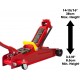 BIG RED TAM825051 Torin Hydraulic Low Profile Trolley Service/Floor Jack with Single Piston Quick Lift Pump, 2.5 Ton (5,000 lb) Capacity, Red