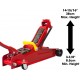 BIG RED TAM825051 Torin Hydraulic Low Profile Trolley Service/Floor Jack with Single Piston Quick Lift Pump, 2.5 Ton (5,000 lb) Capacity, Red