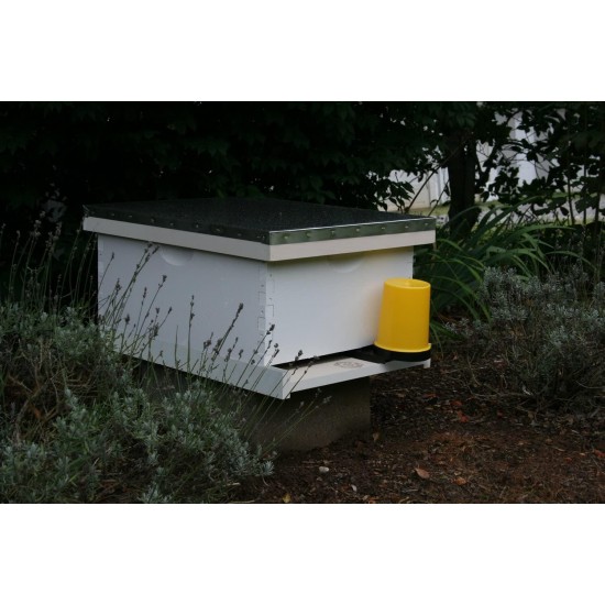 Legacy DIY Beehive Starter Kit