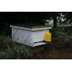 Legacy DIY Beehive Starter Kit