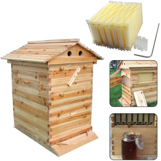 Gdrasuya10 7Pcs Auto Honey Hive Beehive Frames Beekeeping Wooden House Beehive Boxes with Honey Drain for Bee Farming USA Stock