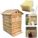 Gdrasuya10 7Pcs Auto Honey Hive Beehive Frames Beekeeping Wooden House Beehive Boxes with Honey Drain for Bee Farming USA Stock