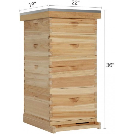 Neady Hives Natural Bees 8 Frame Beehive Includes Frames and Foundations (4-Layer)