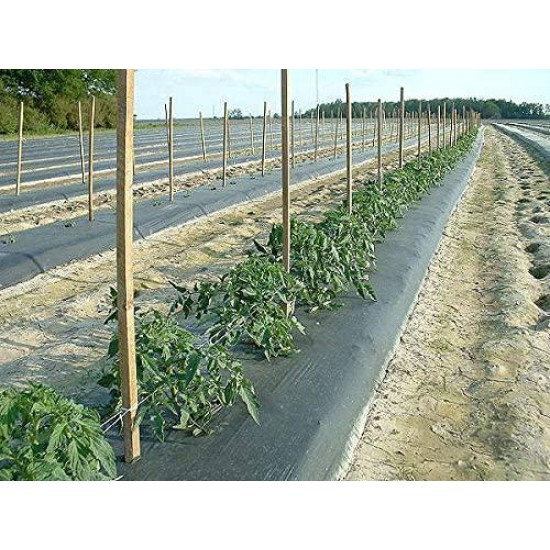 4ft x 4000ft x 1.00mil Black Embossed Plastic Mulch