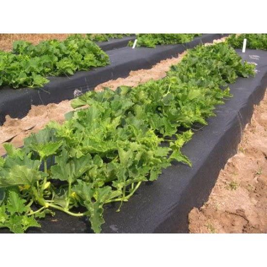 4ft x 4000ft x 1.00mil Black Embossed Plastic Mulch