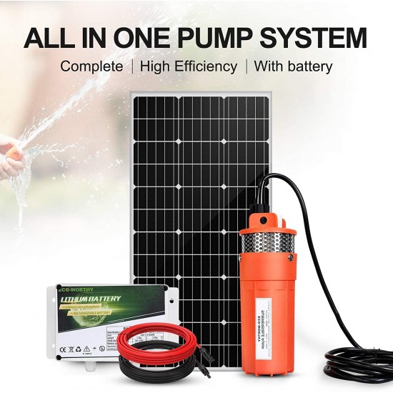 ECO-WORTHY 100W Deep Well Submersible Pump Kit with 6Ah LiFePO4 Lithium Battery, Large Flow Solar Water Pump + 100W Solar Panel Kit + 12V Battery for Deep Well, Irrigation, Human Animal Using Water