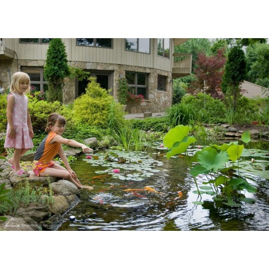 Aquascape Dry Beneficial Bacteria for Pond and Water Features, 7-Pound | 98950