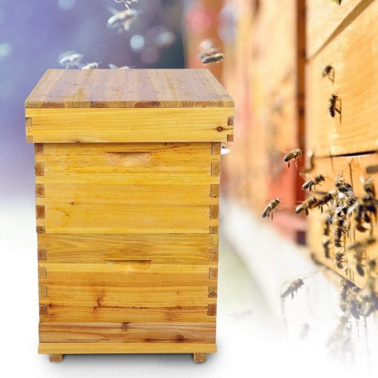 Juicemoo Beehive Brood Box Insect Proof Honey Beehive Box 10 Frame Beekeeping Box Kit Beekeepers Use for Beekeeping