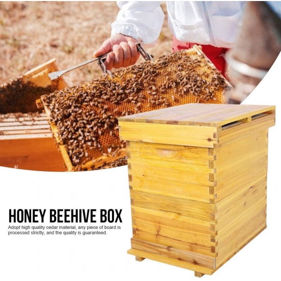 Juicemoo Beehive Brood Box Insect Proof Honey Beehive Box 10 Frame Beekeeping Box Kit Beekeepers Use for Beekeeping