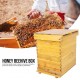 Focket Honey Keeper Beehive, 10 Frame Cedar Wood Waterproof Honey Super Brood Beehive Box Moisture-Proof Bee Hive House Deluxe Bee Hive Starter Kit Beekeeping Supplies, Insect Proof for Beekeepers