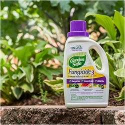 Garden Safe Brand Fungicide3 Concentrate, 20-Ounce, 6-pack