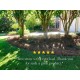 USA Pine Straw | On Sale | Premium Pine Needle Mulch - 210 Sqft.