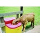 Ritchie Thrifty King CT2 2000 Energy Free Waterer Cattle Horses