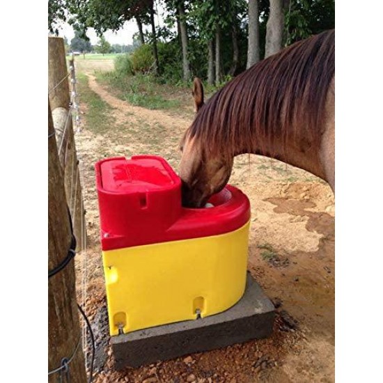 Ritchie Thrifty King CT1-2000 Energy Free Waterer Cattle Horses