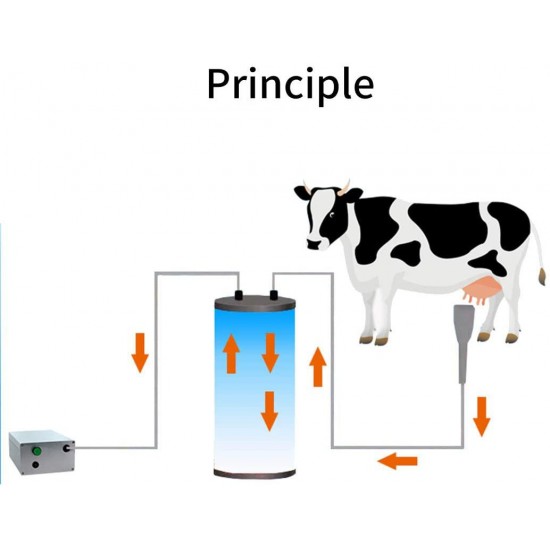 BEETLA Electric Pulsation Milking Machine 5L Portable Cow Milking Machine with 2 Teat Milker with Automatic Stop Device